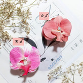 کلیپس ارکیده پینترستی